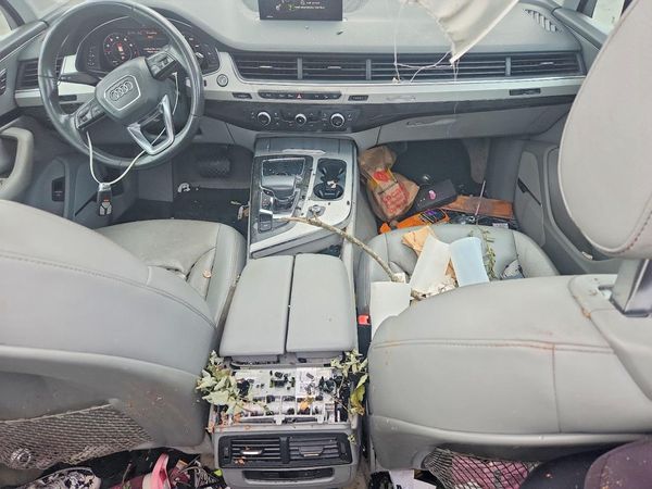 2019 AUDI Q7