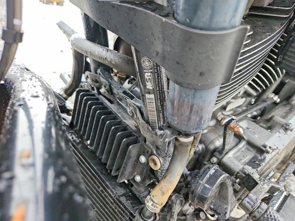 2024 HARLEY-DAVIDSON FLSE — VINS