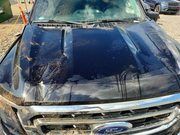 2021 FORD F150