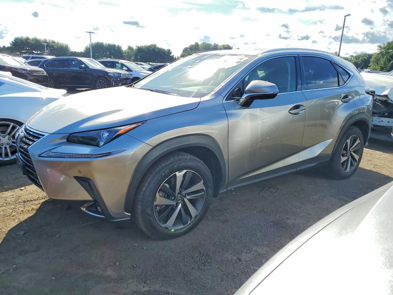 2020 LEXUS NX