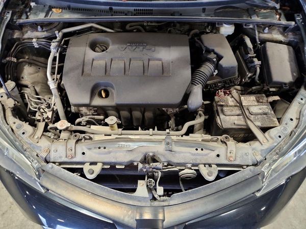 2019 TOYOTA COROLLA L/LE/SE/XLE/XSE
