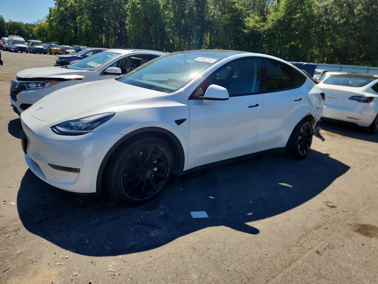 2023 TESLA MODEL Y — Front 3/4