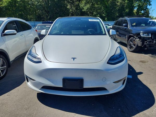 2023 TESLA MODEL Y — DIRF