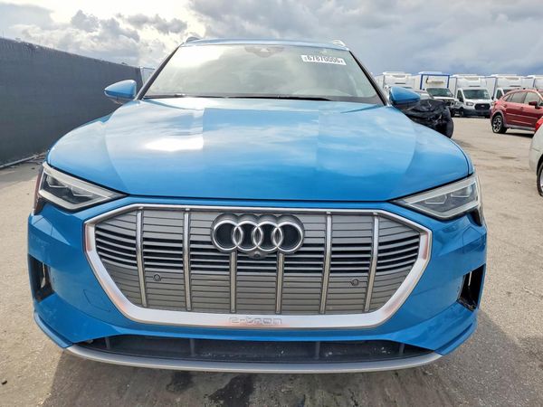 2019 AUDI E-TRON — DIRF