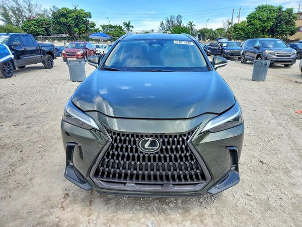 2023 LEXUS NX