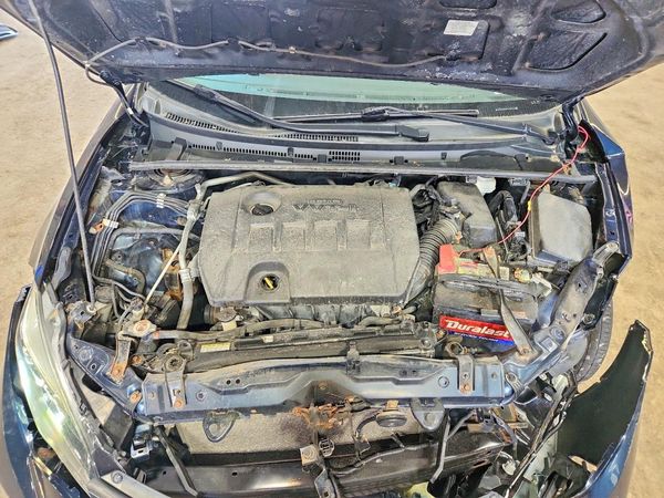 2019 TOYOTA COROLLA