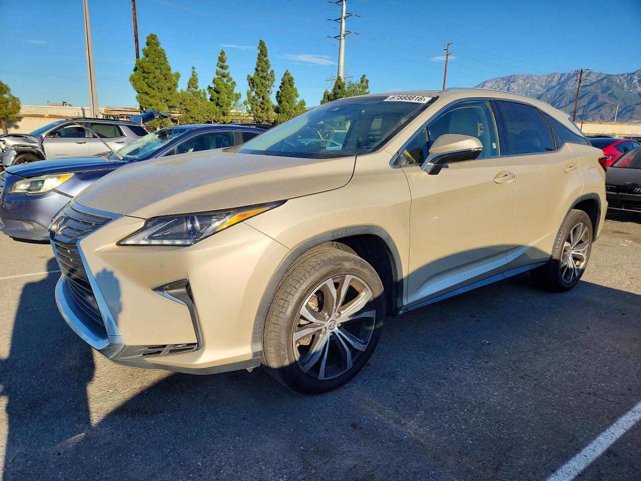 2019 LEXUS RX 350