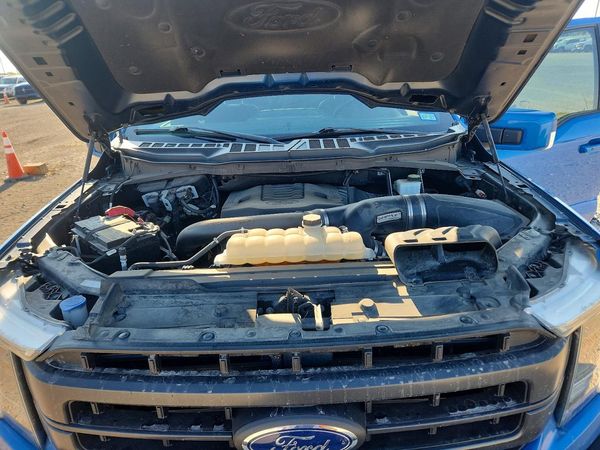 2021 FORD F150