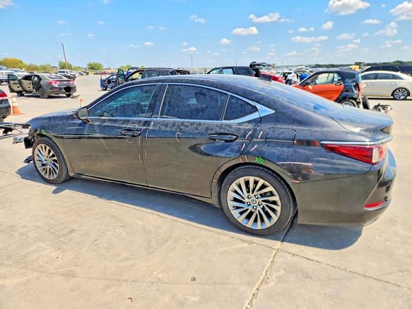 2019 LEXUS ES