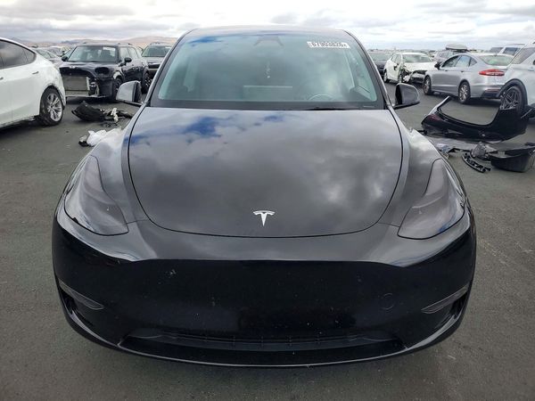 2024 TESLA MODEL Y — DIRF