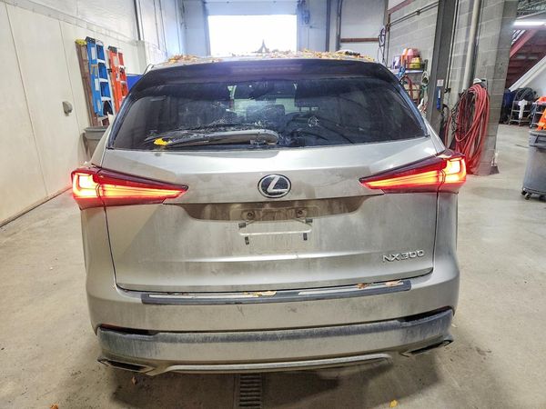 2021 LEXUS NX 300 300 Premium — DIRR