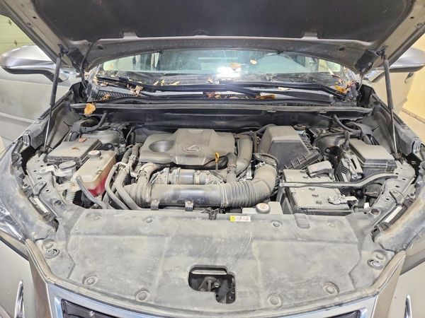 2021 LEXUS NX 300 300 Premium — Engine bay