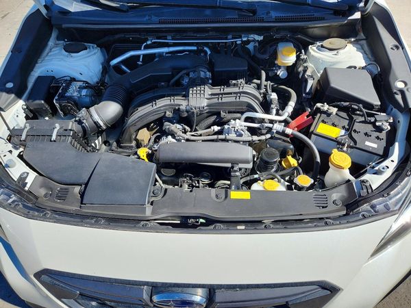 2021 SUBARU CROSSTREK Sport+ES+BSD