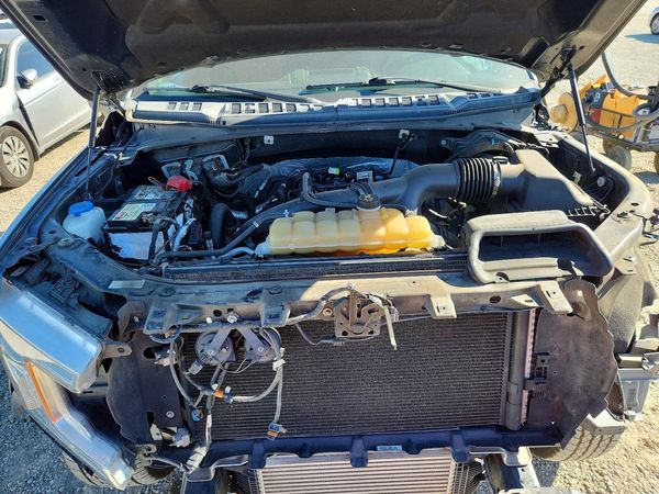 2019 FORD F150