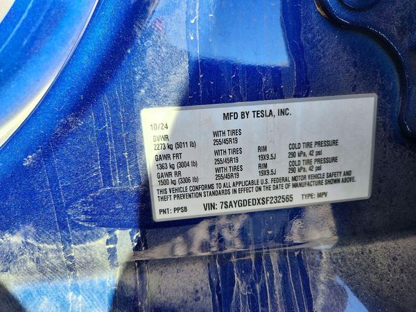 2025 TESLA MODEL Y
