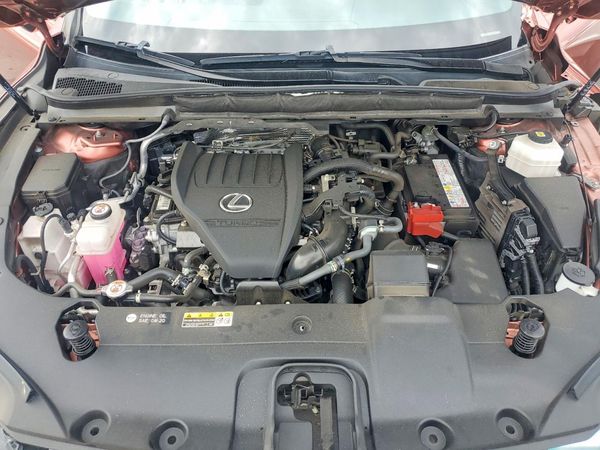 2023 LEXUS RX 350