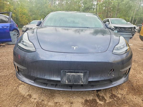 2022 TESLA MODEL 3 — DIRF