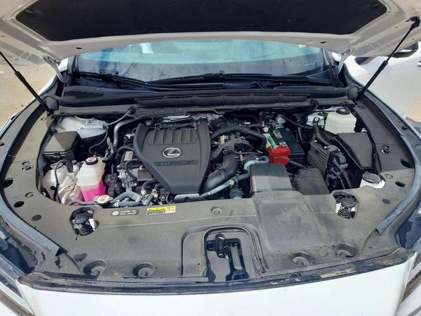 2024 LEXUS RX 350