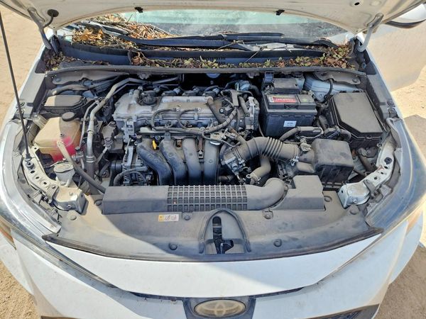 2020 TOYOTA COROLLA LE, w/Premium Pkg