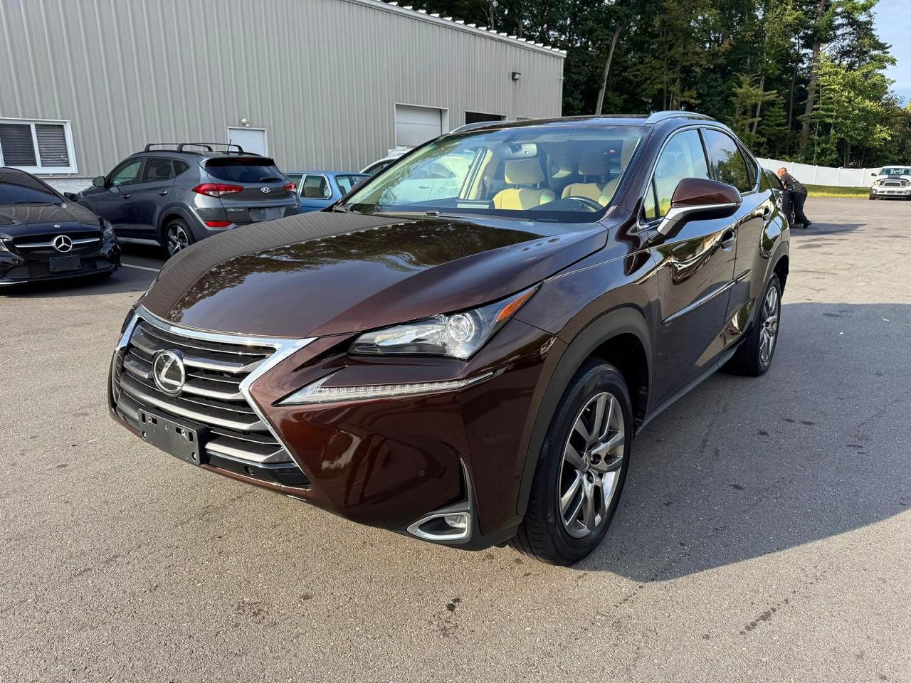 2016 LEXUS NX 200T 200t Luxury