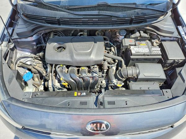 2019 KIA RIO