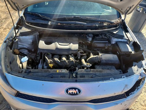 2019 KIA RIO