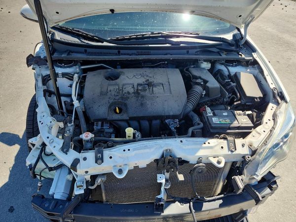 2019 TOYOTA COROLLA L/LE/SE/XLE/XSE