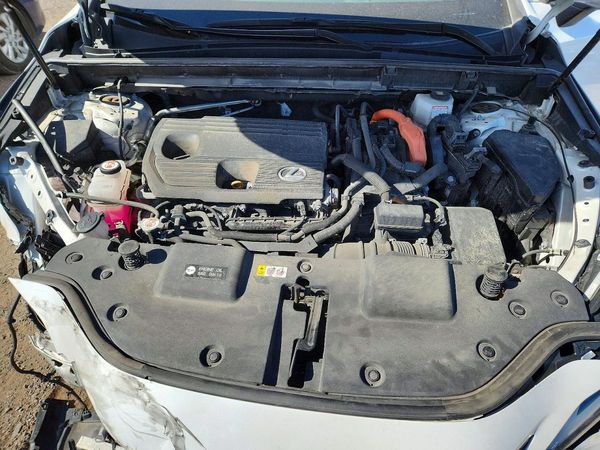 2022 LEXUS NX 350h Premium — Engine bay