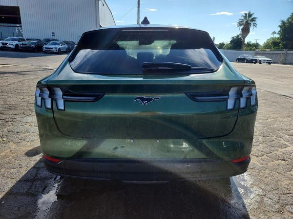 2025 FORD MUSTANG Premium — DIRR