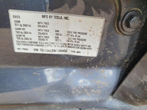 2023 TESLA MODEL Y