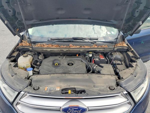 2017 FORD EDGE