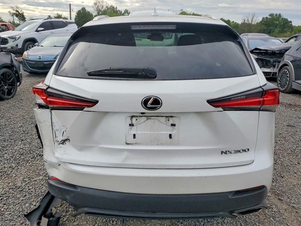 2019 LEXUS NX 300 300 Luxury