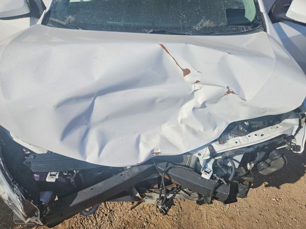 2018 TOYOTA COROLLA L/LE/SE/XLE/XSE — Engine bay