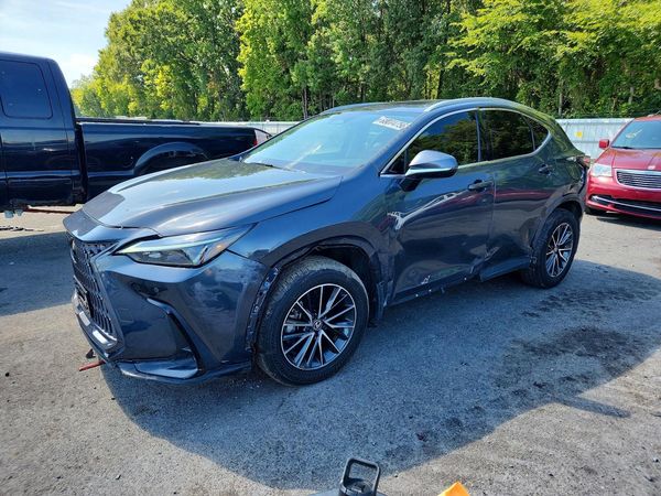 2024 LEXUS NX