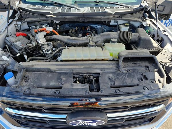 2024 FORD F150