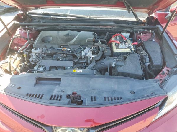 2019 TOYOTA CAMRY L/LE/SE/XLE