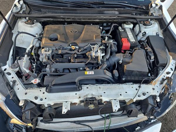 2019 TOYOTA CAMRY L/LE/SE/XLE