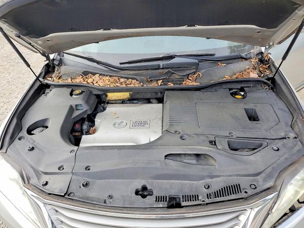 2013 LEXUS RX