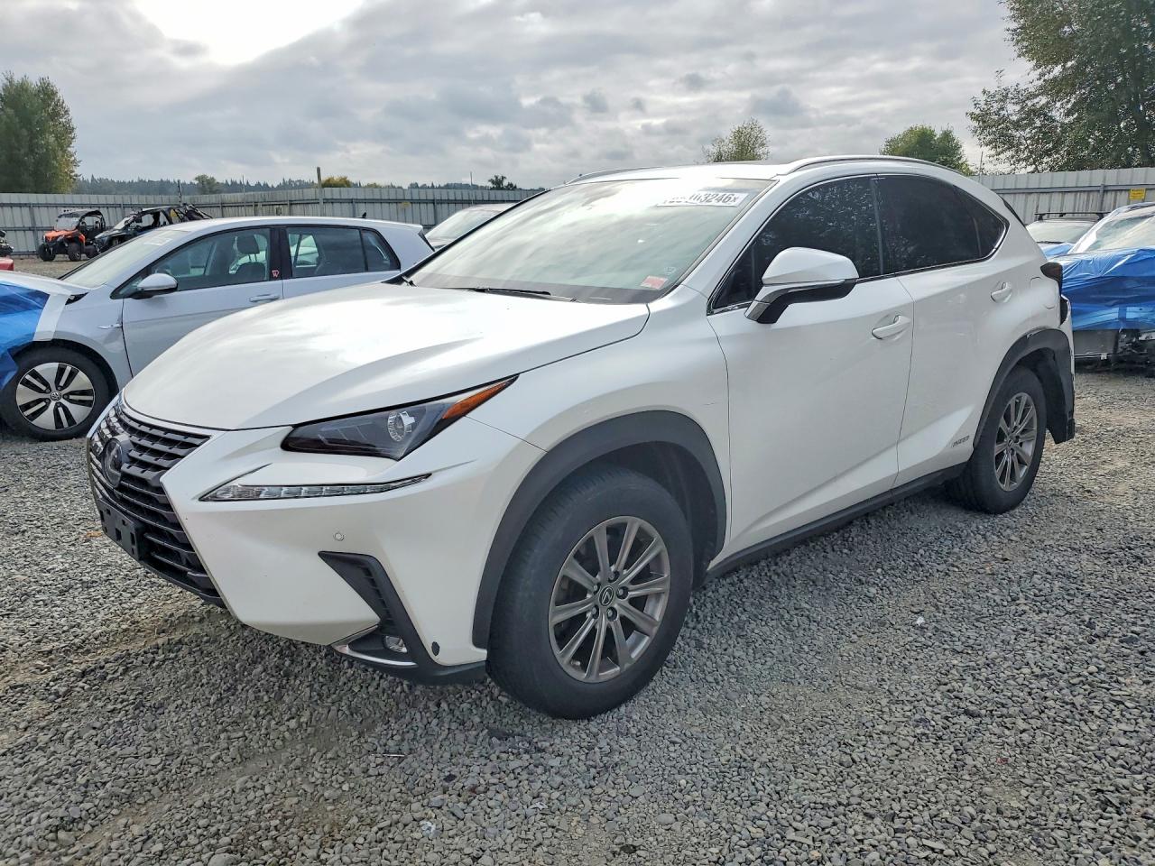 2019 LEXUS NX 300H Luxury