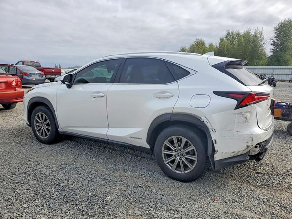 2019 LEXUS NX 300H Luxury