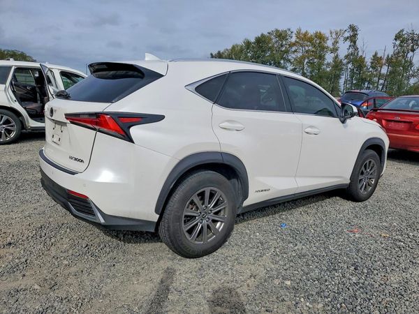 2019 LEXUS NX 300H Luxury
