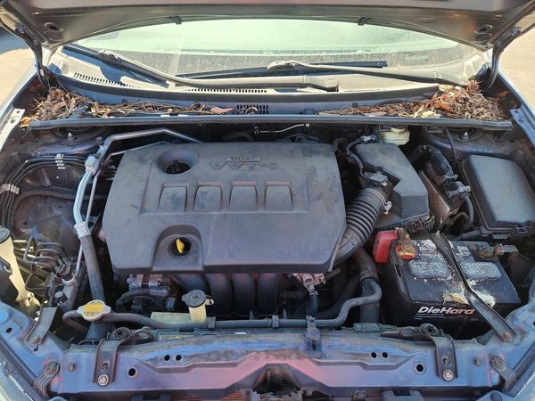 2015 TOYOTA COROLLA L/LE