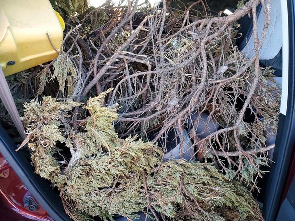 2015 HONDA CRV LX