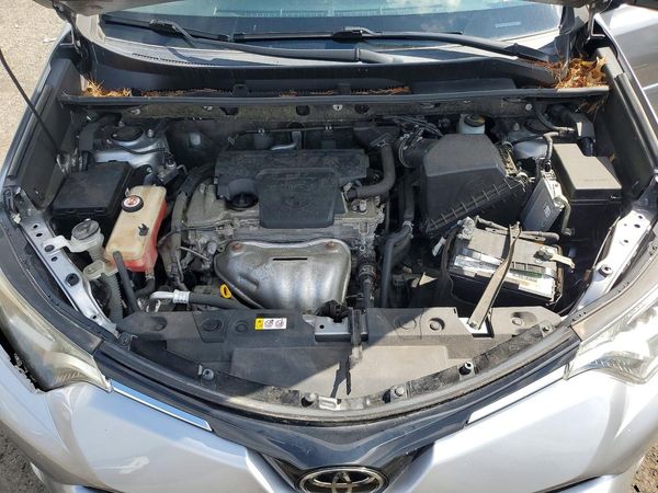 2018 TOYOTA RAV4 Adventure/XLE