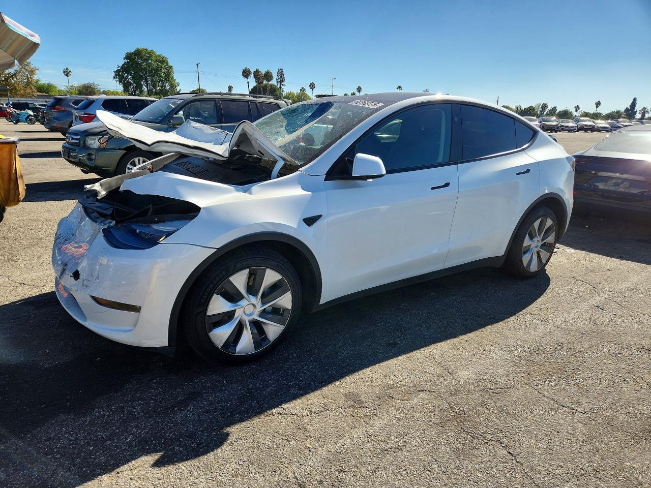 2023 TESLA MODEL Y — Front 3/4