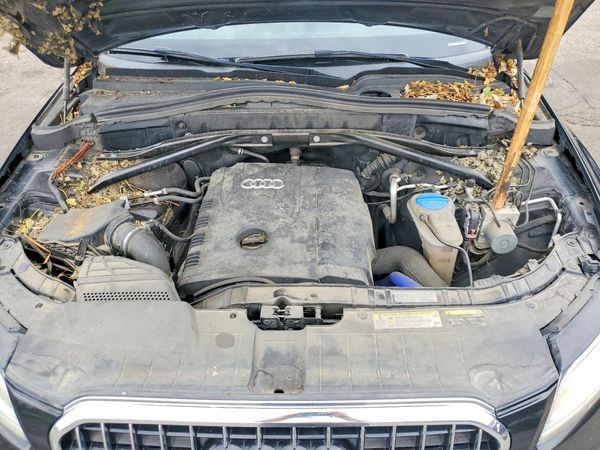 2013 AUDI Q5 Premium Hybrid