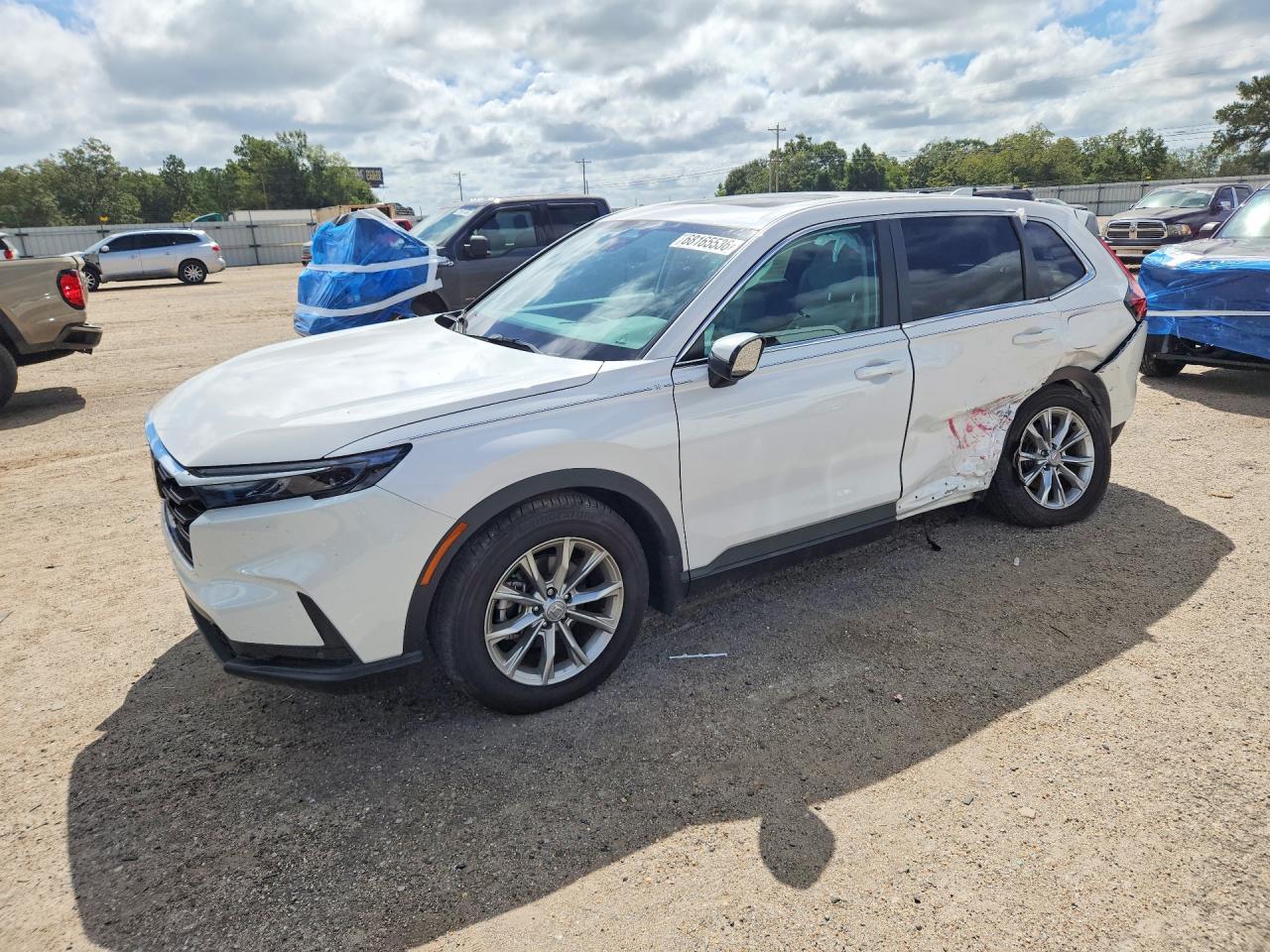 2025 HONDA CR-V EX-L
