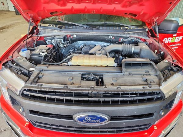 2019 FORD F150
