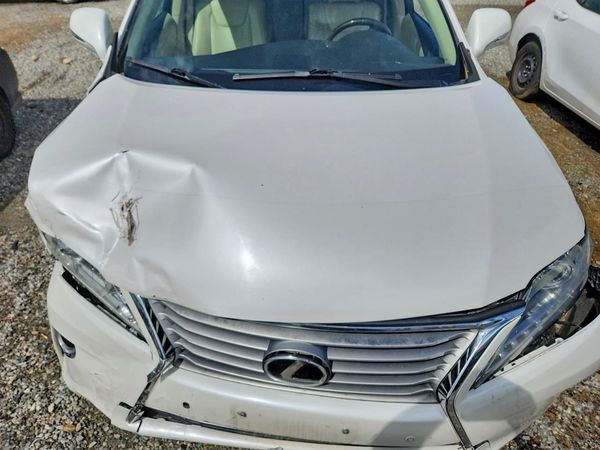 2013 LEXUS RX