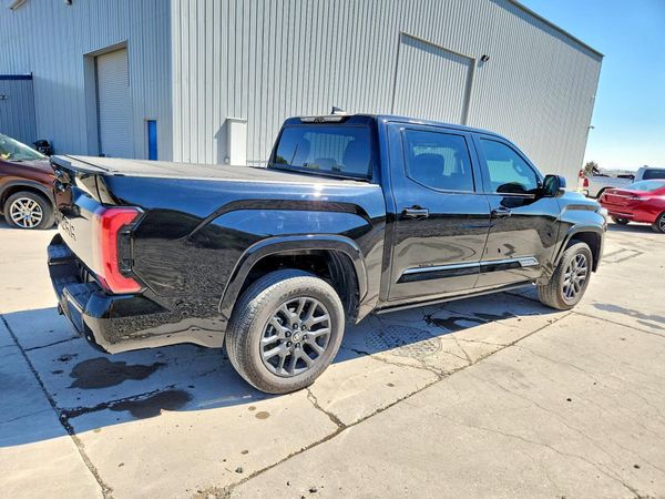 2025 TOYOTA TUNDRA Platinum — PSRA